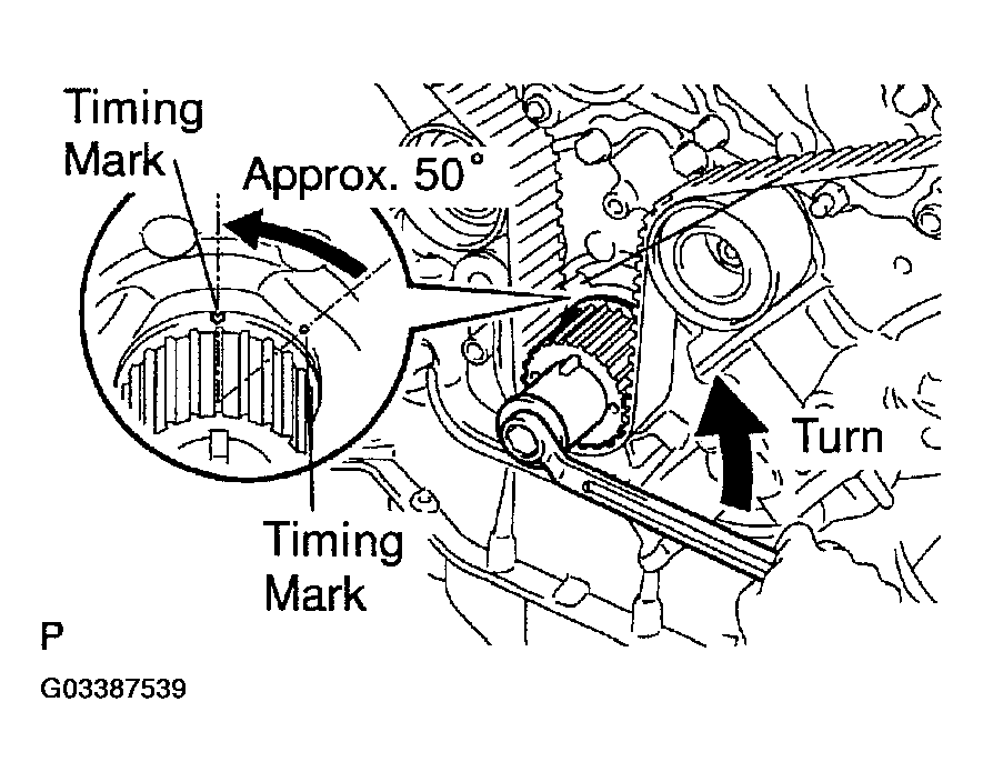 G03387539