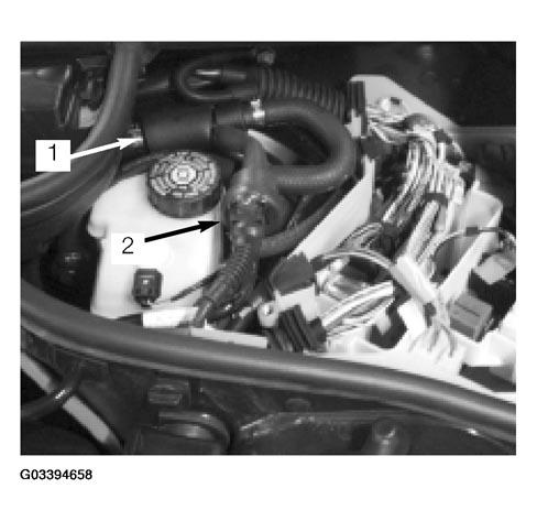 G03394658