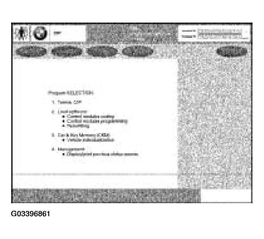 G03396861