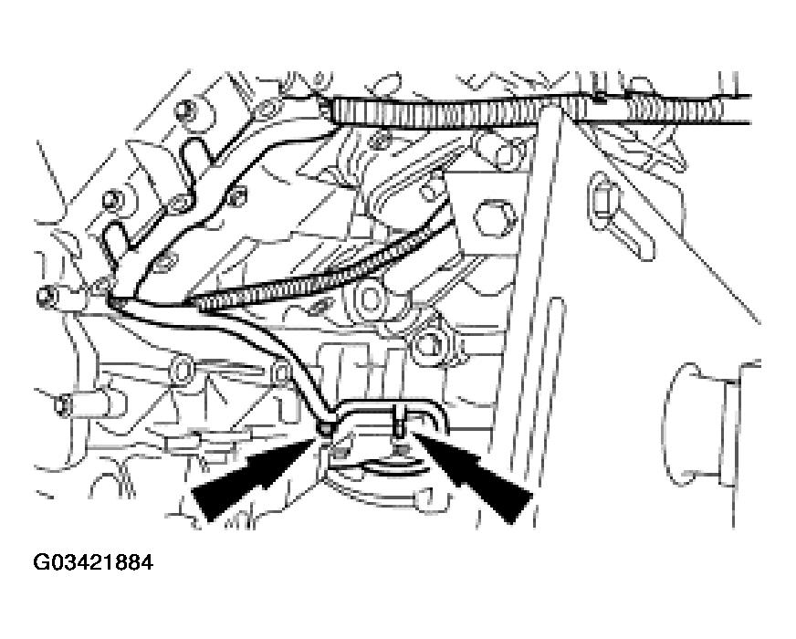 G03421884