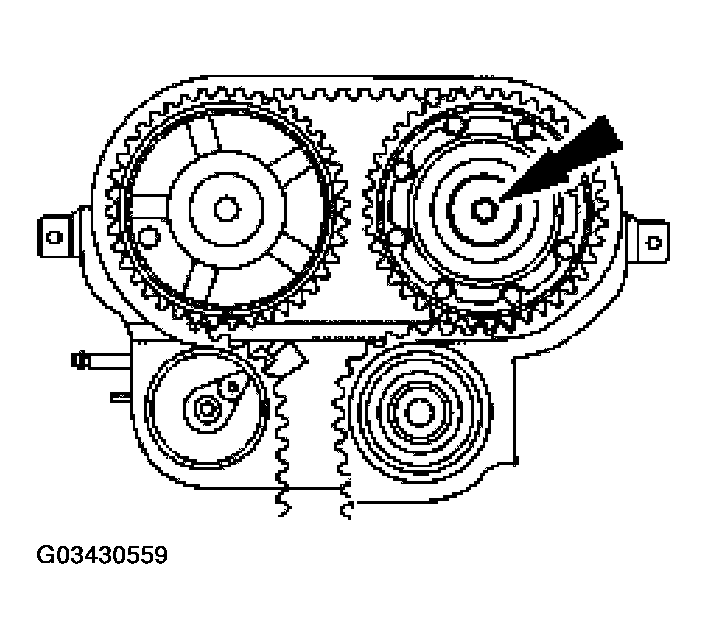 G03430559
