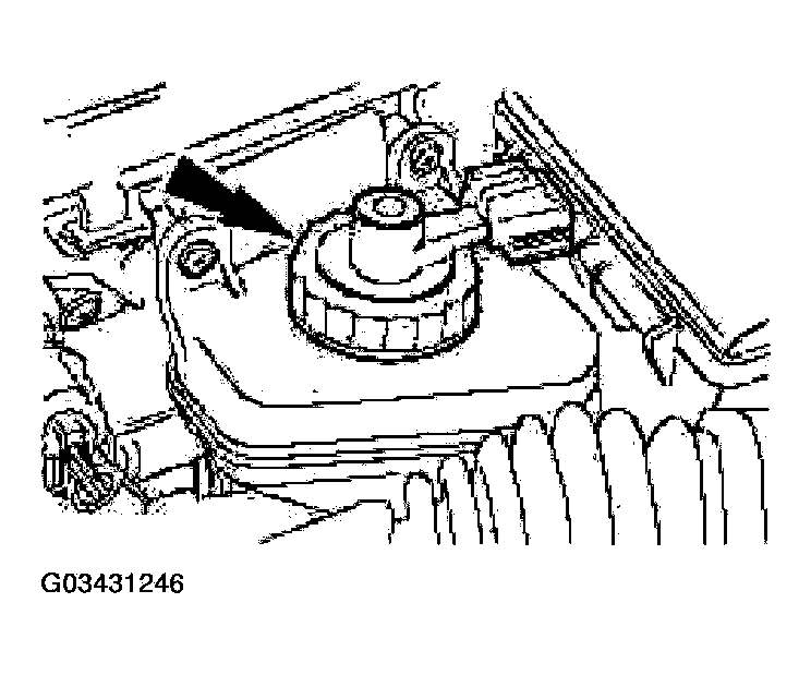 G03431246