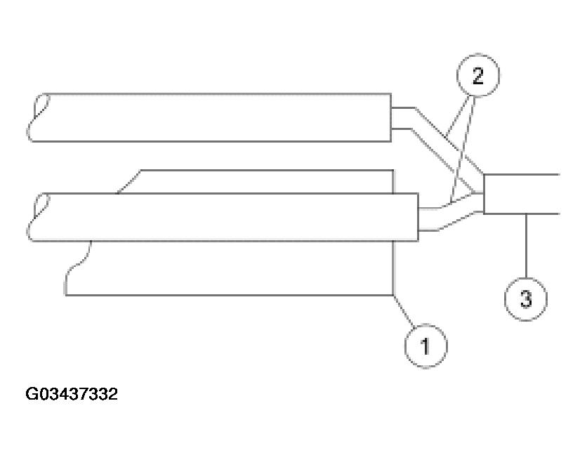 G03437332