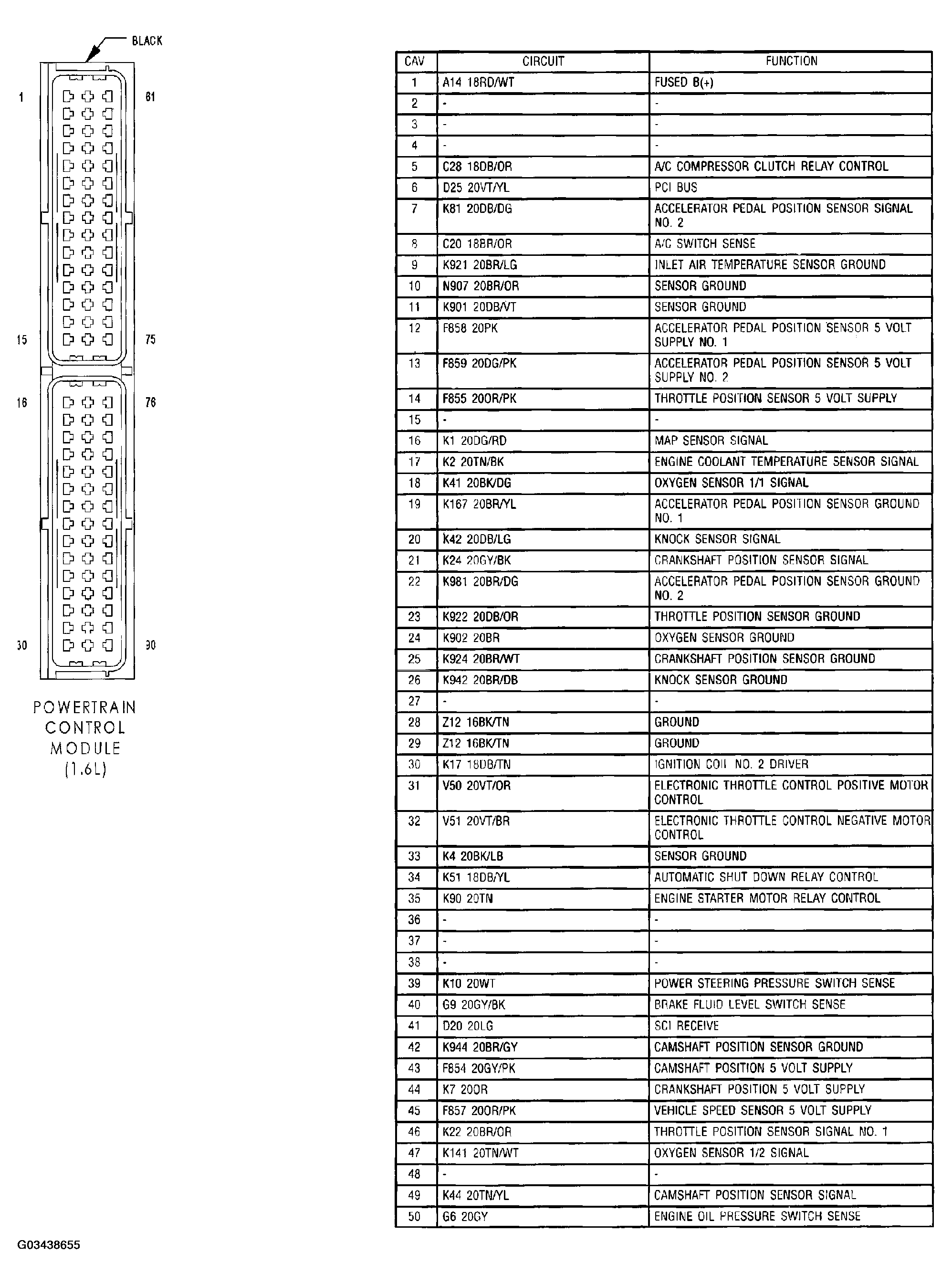 G03438655
