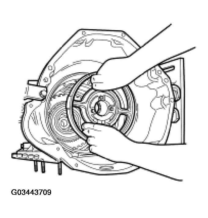 G03443709