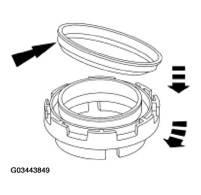 G03443849