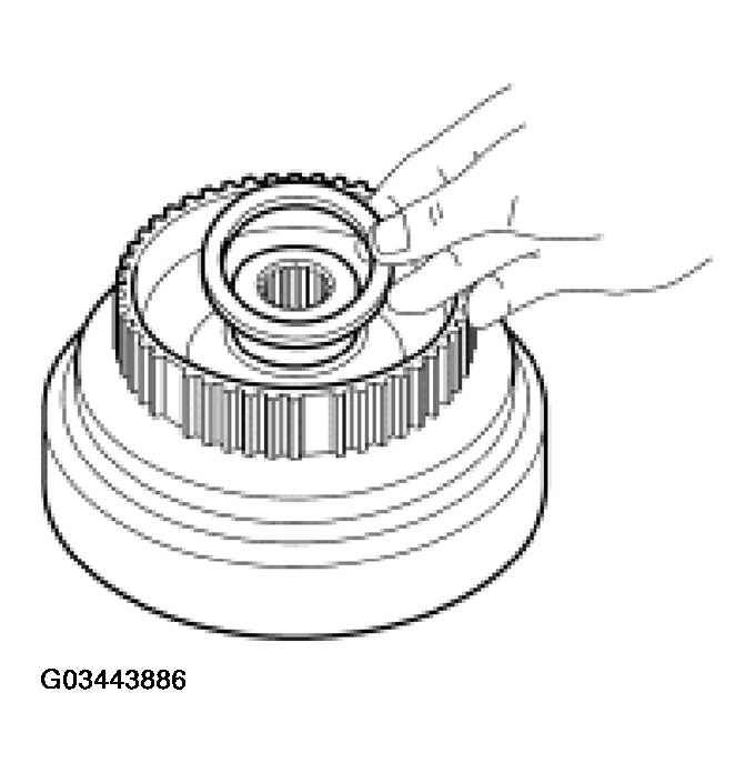 G03443886