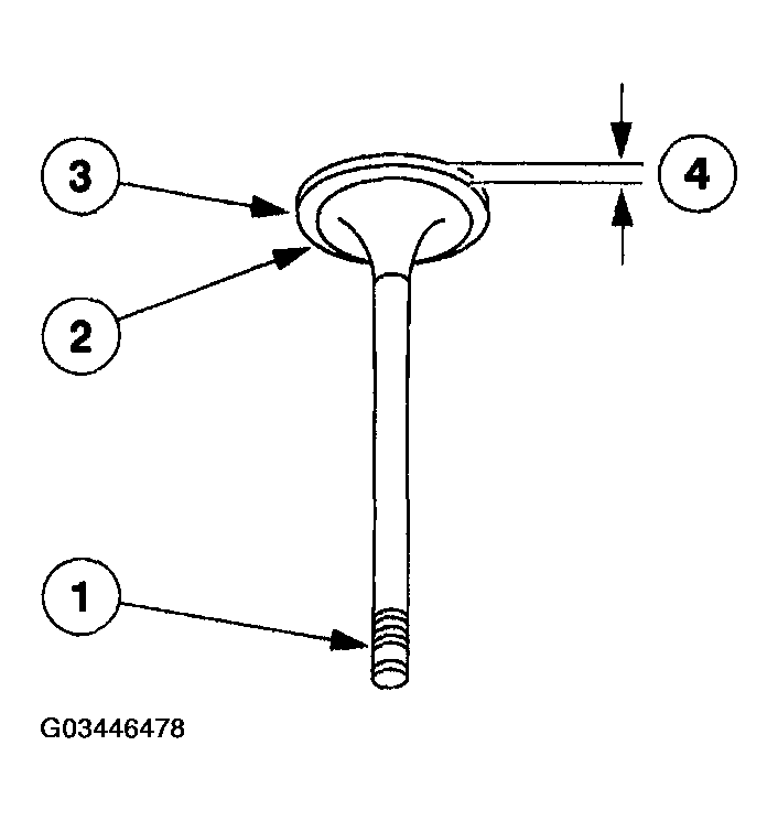 G03446478
