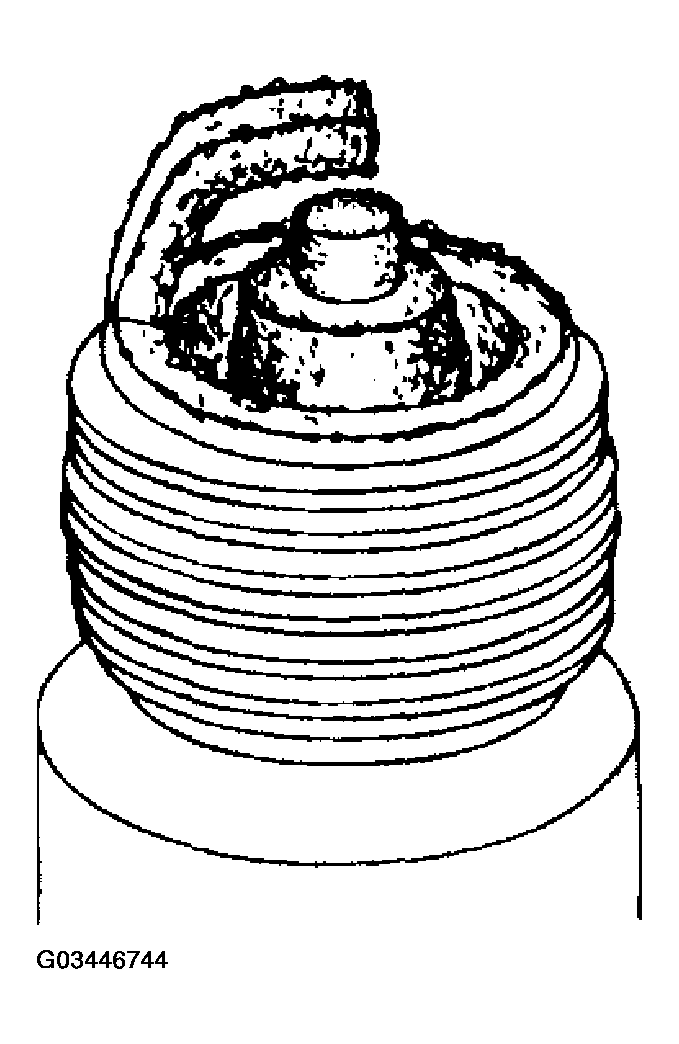 G03446744