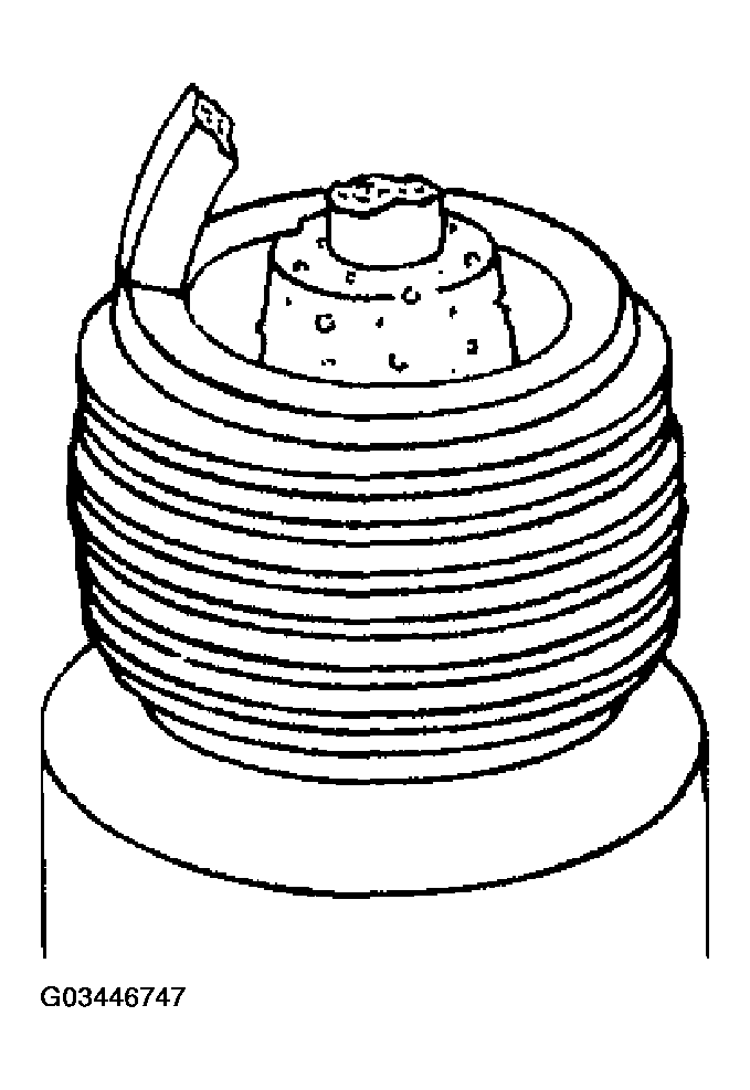 G03446747