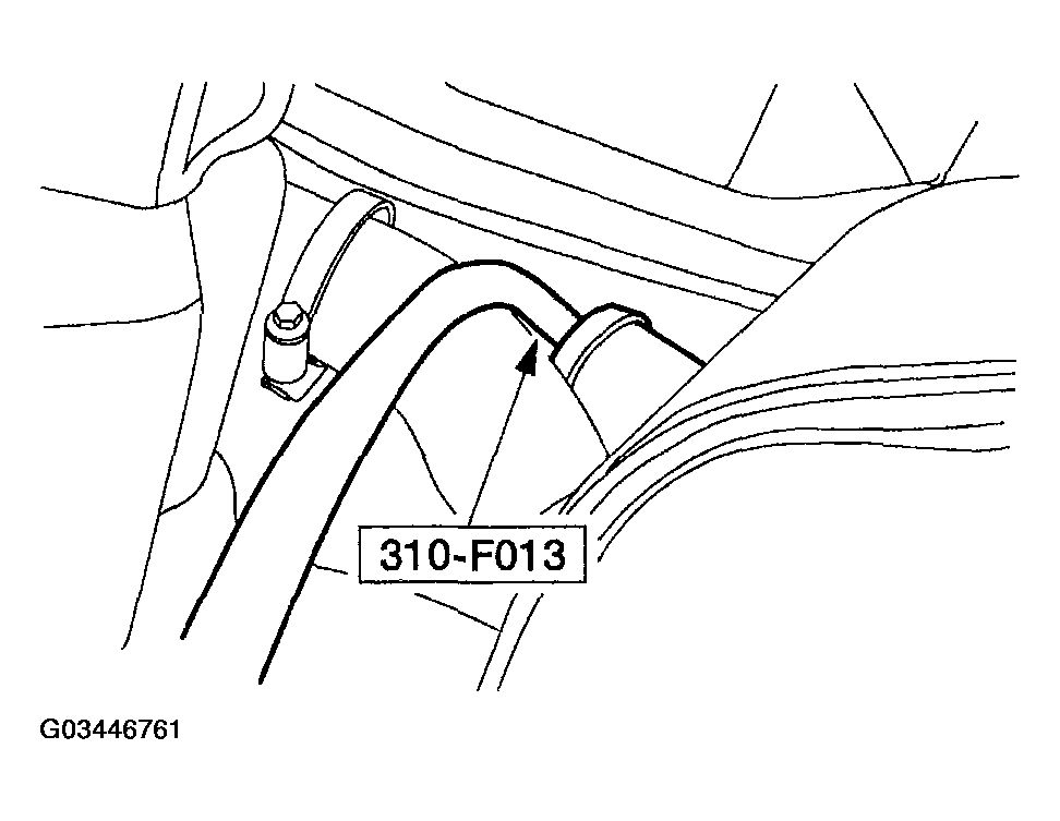 G03446761