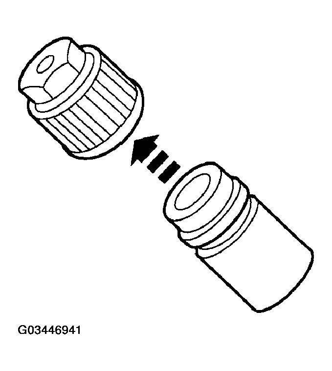 G03446941