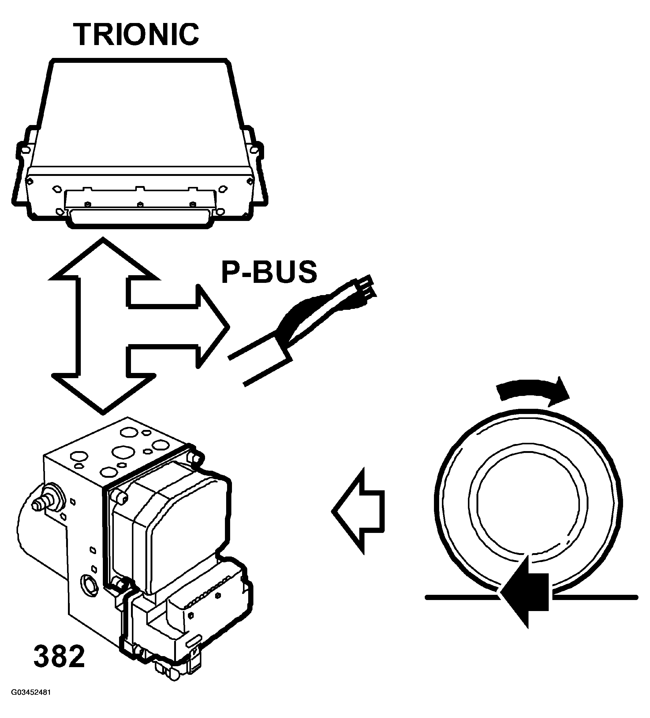 G03452481