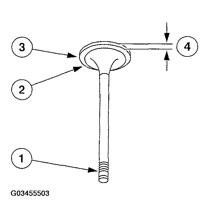 G03455503