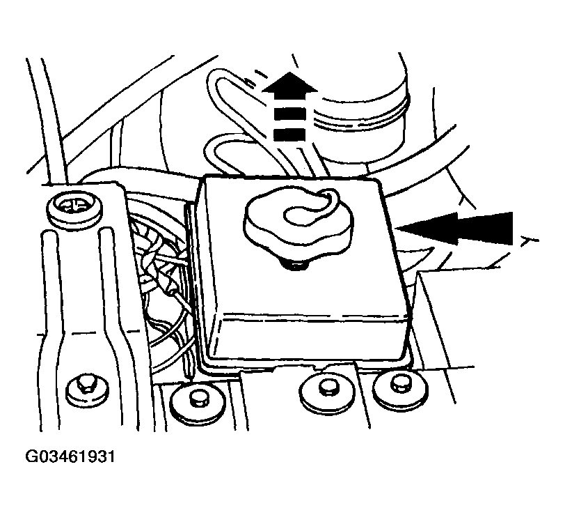 G03461931