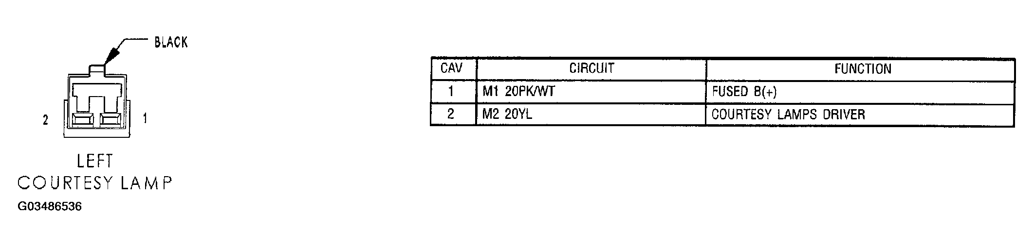 G03486536