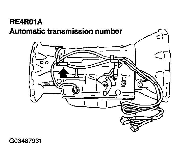 G03487931