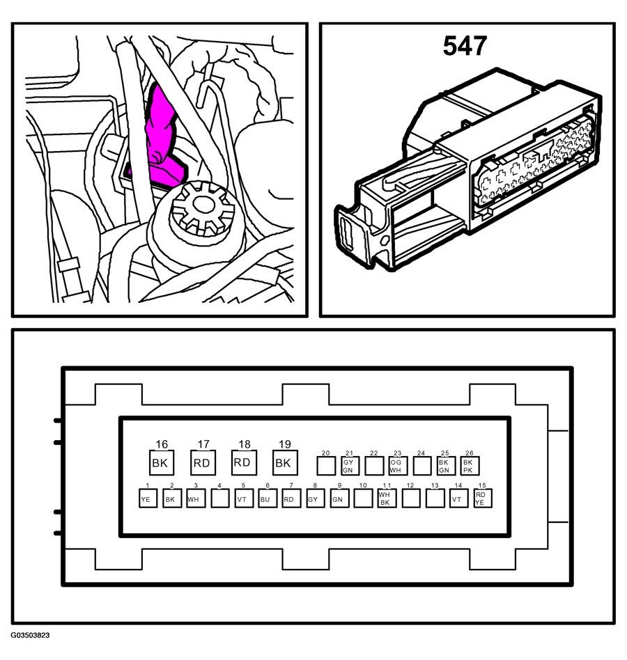 G03503823