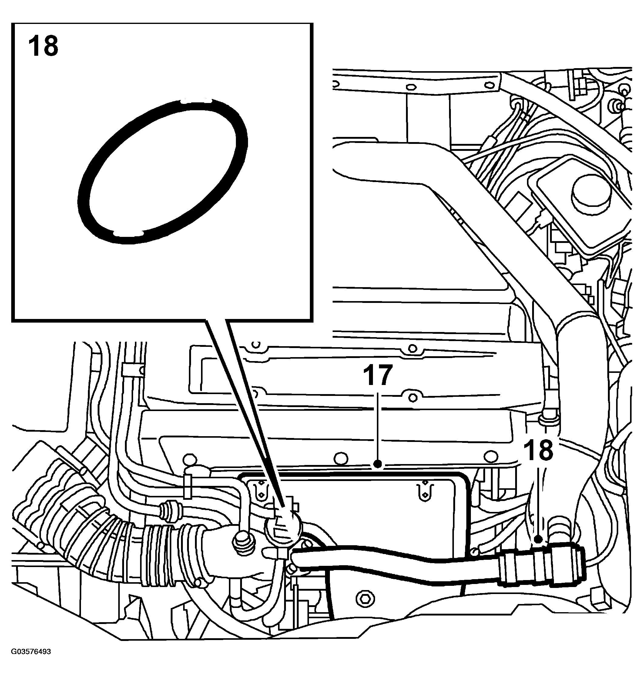 G03576493