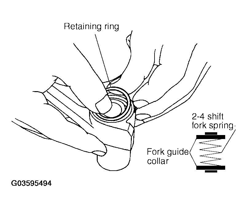 G03595494