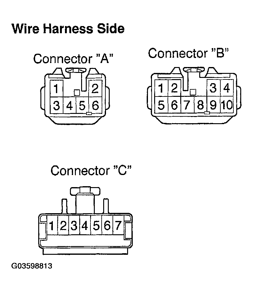 G03598813