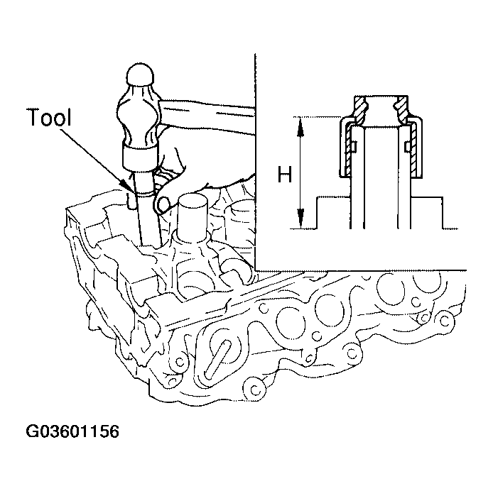 G03601156