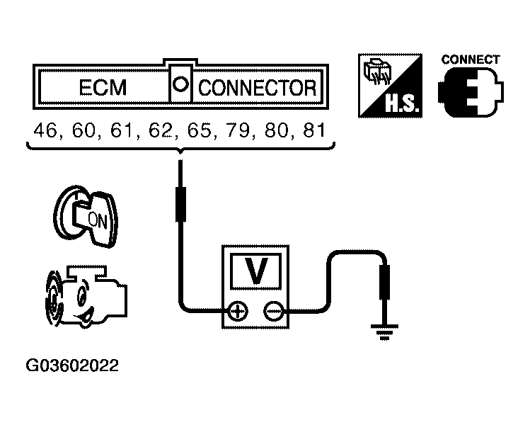 G03602022