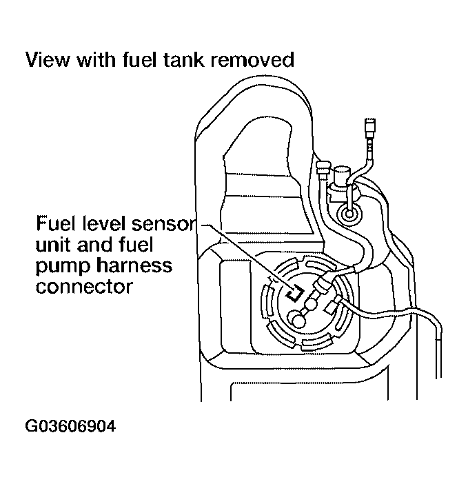 G03606904