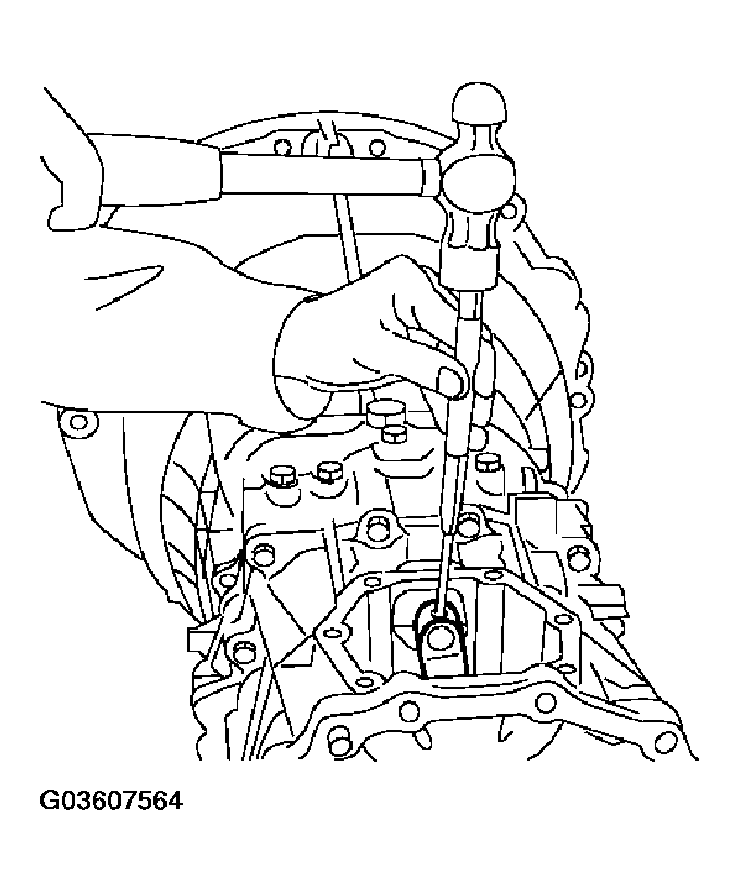 G03607564