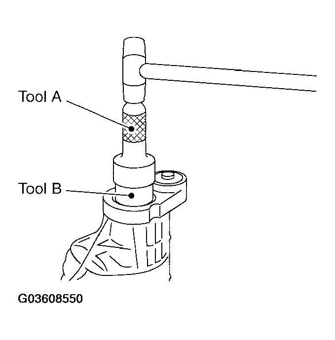 G03608550