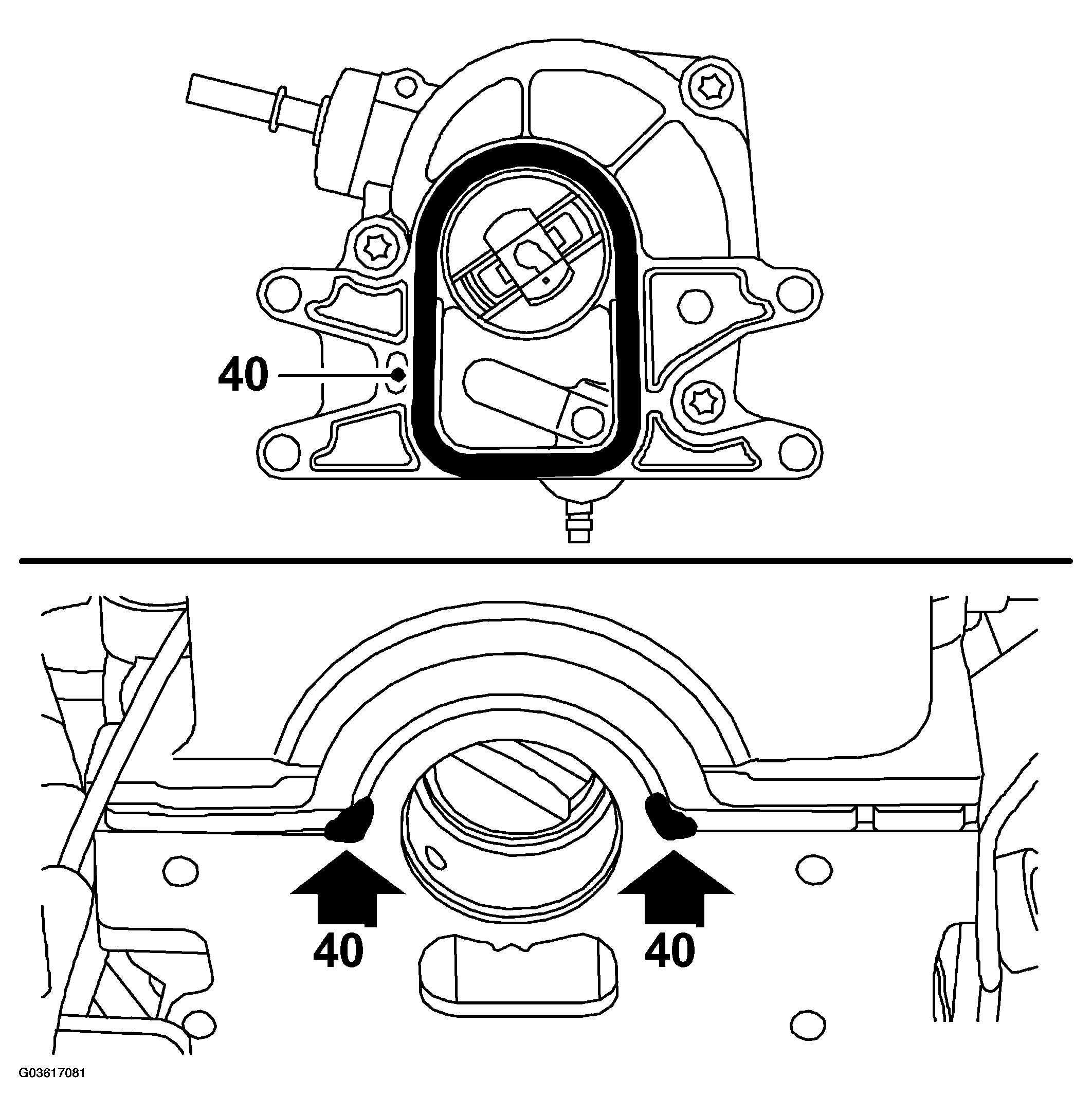 G03617081
