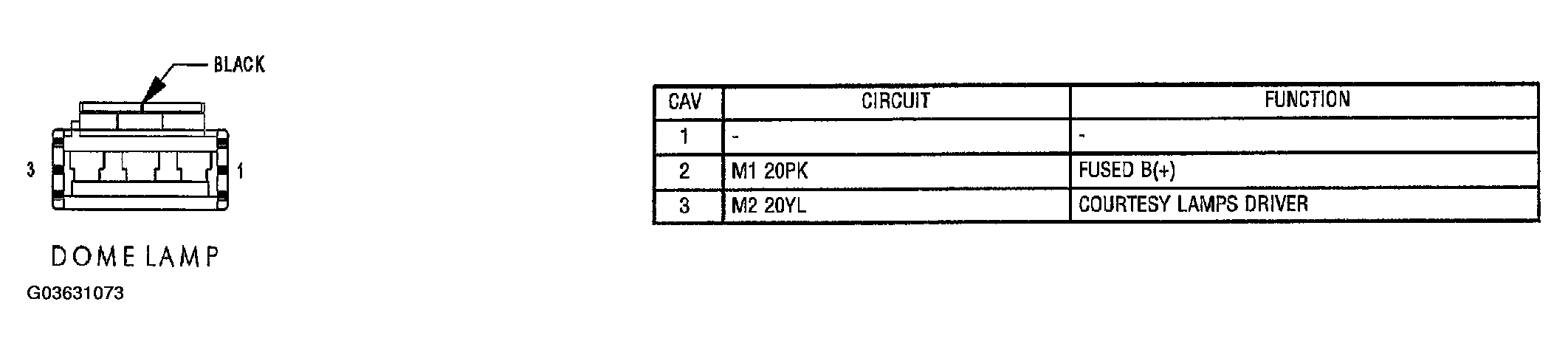 G03631073