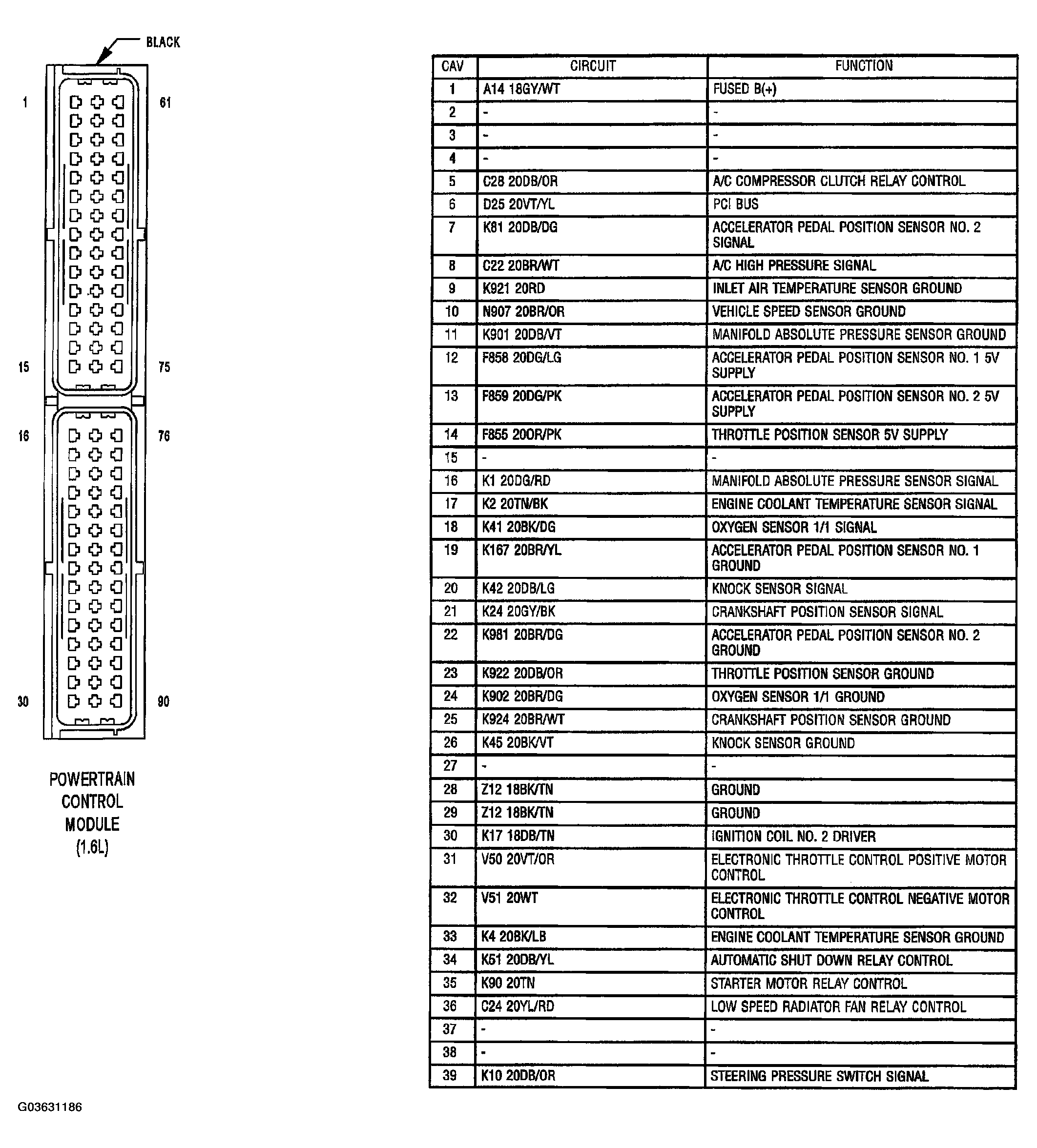 G03631186