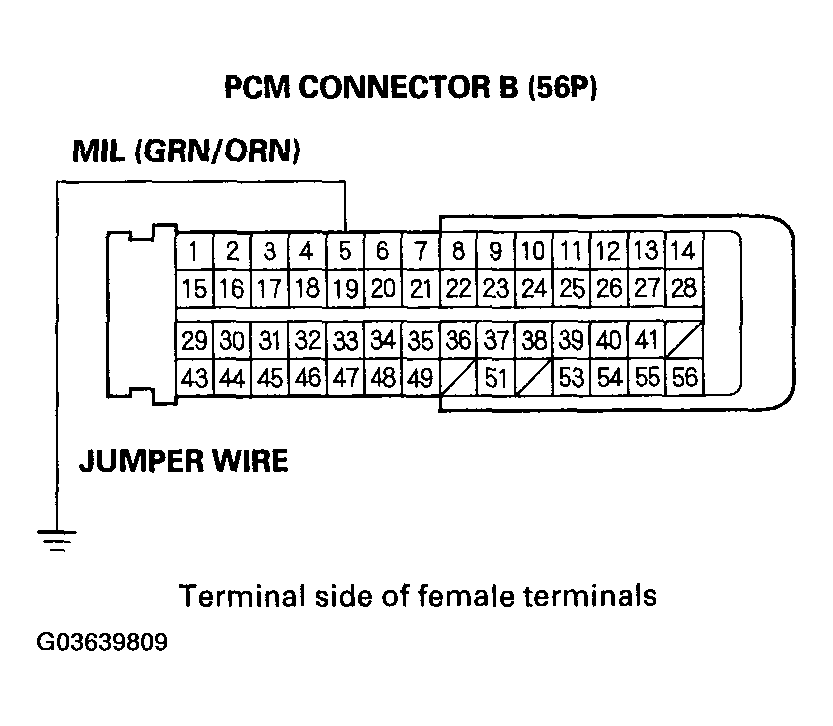 G03639809
