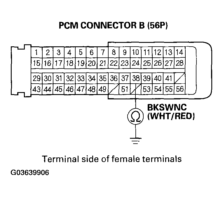 G03639906