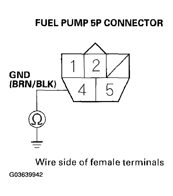 G03639942