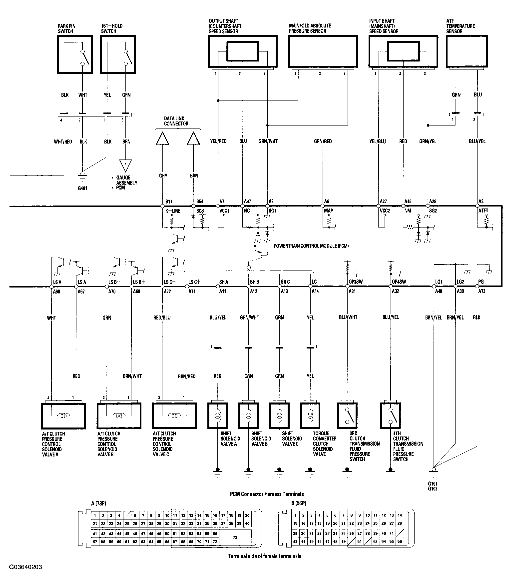 G03640203