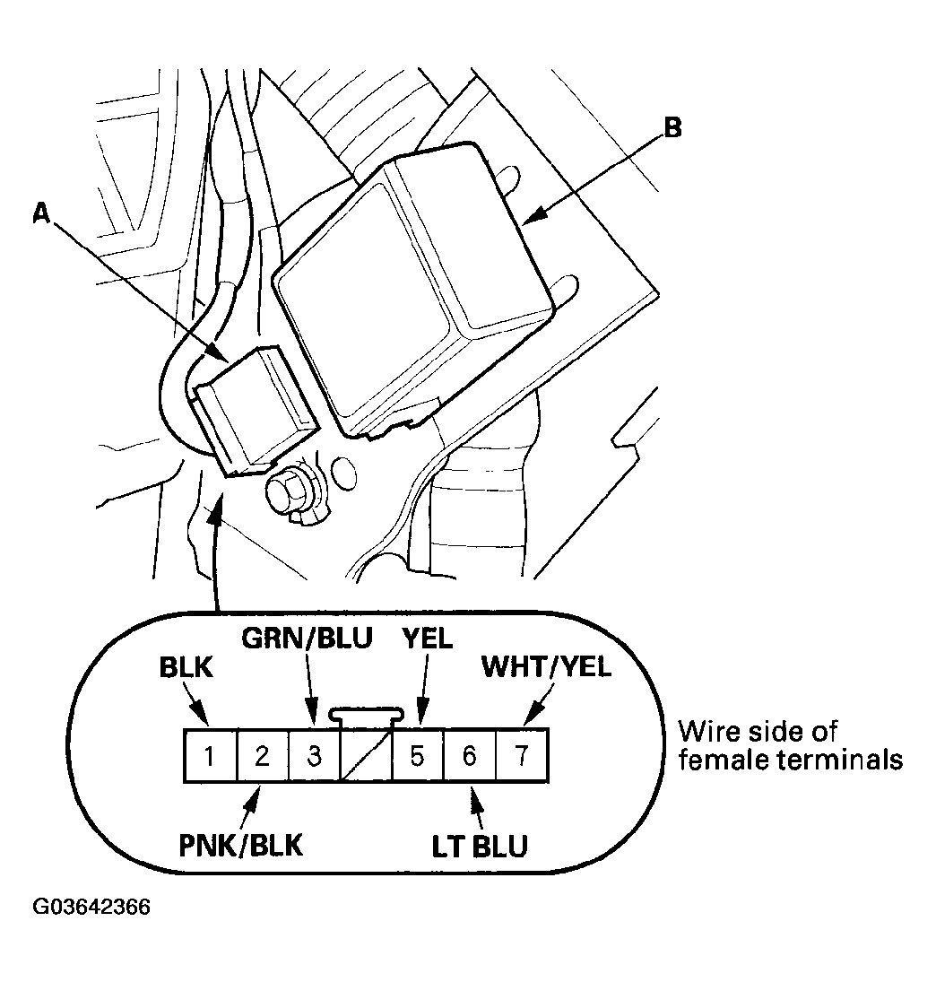 G03642366