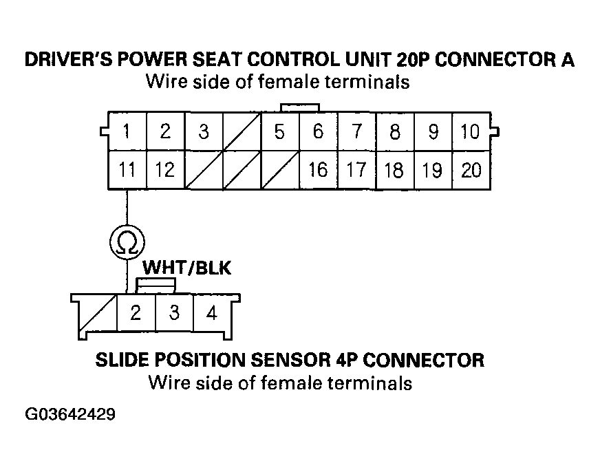 G03642429
