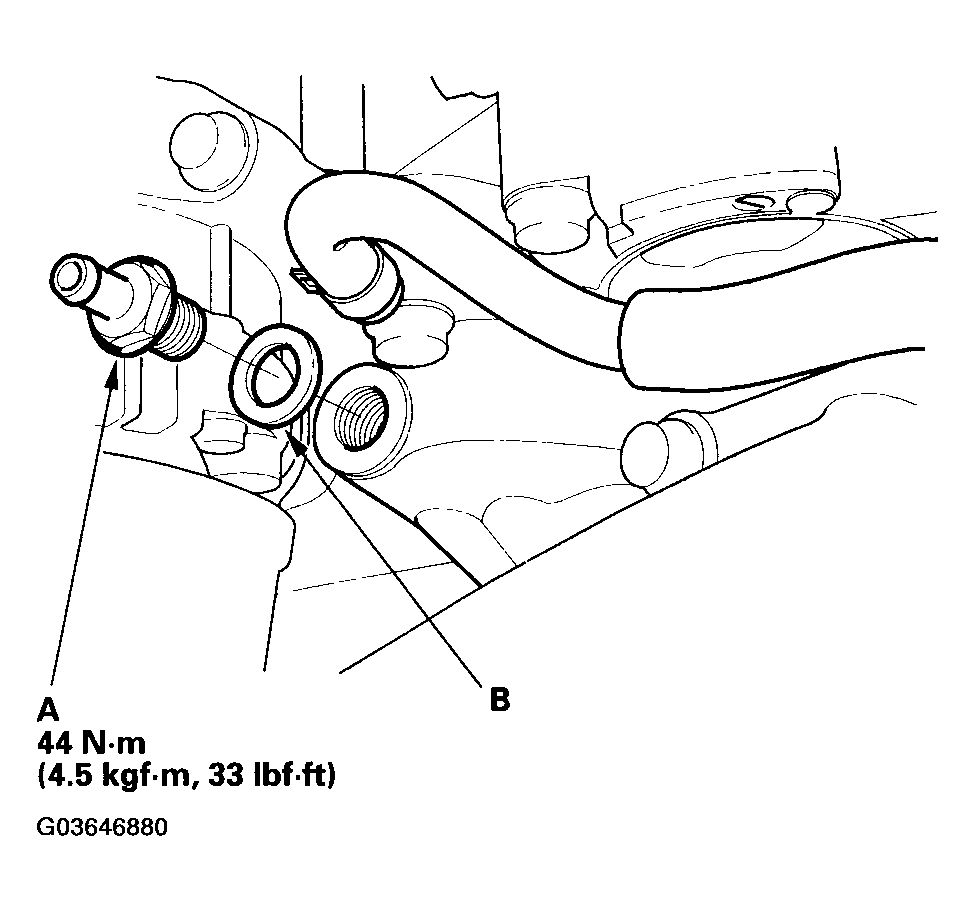 G03646880