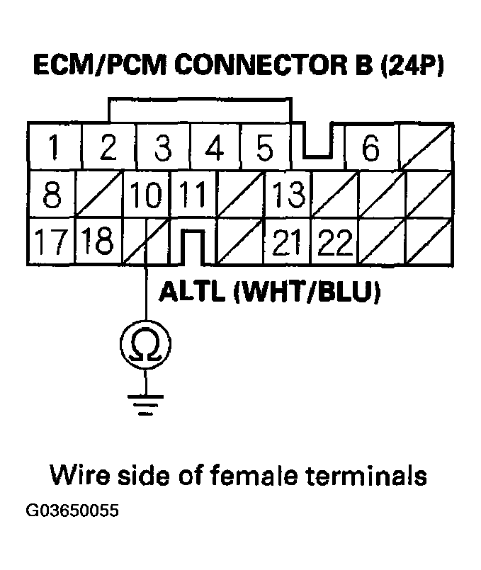 G03650055