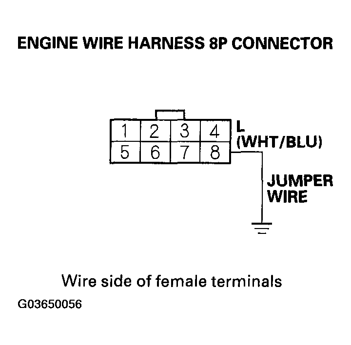 G03650056