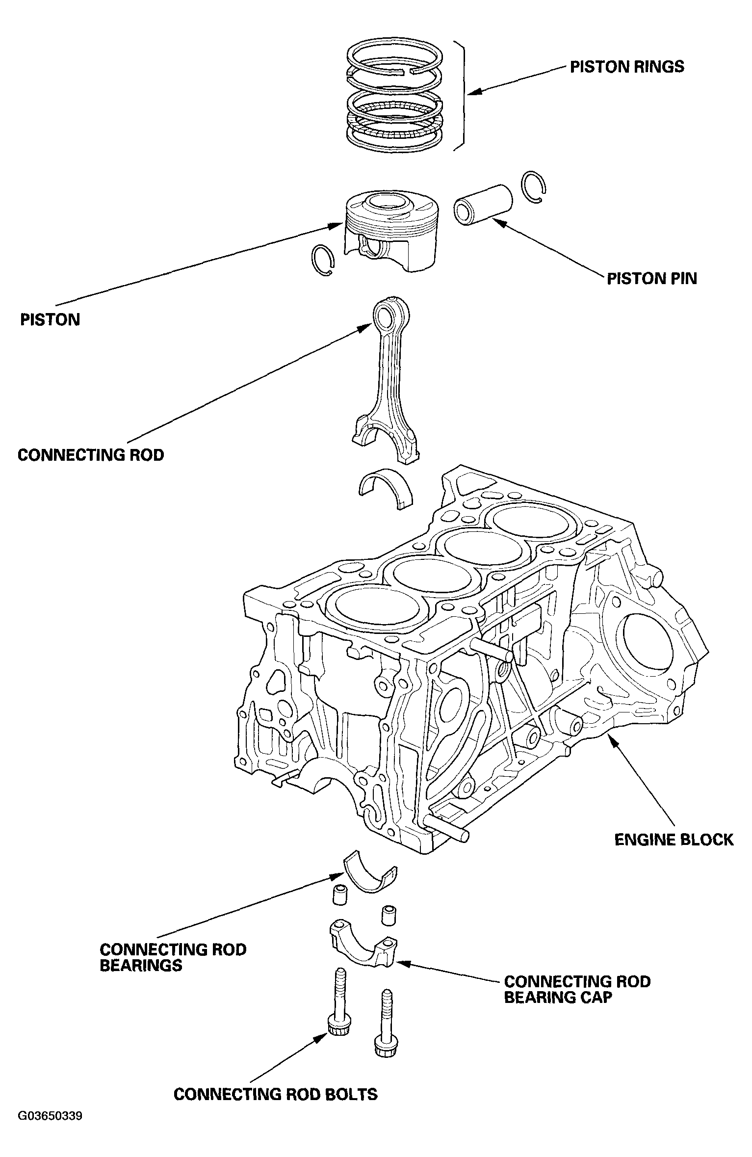 G03650339