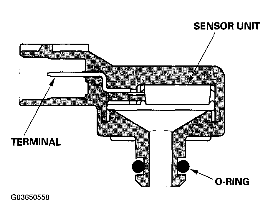 G03650558