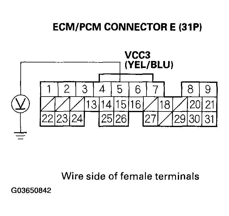 G03650842