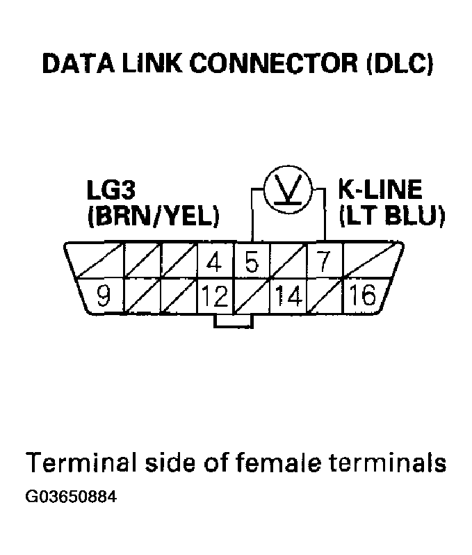 G03650884