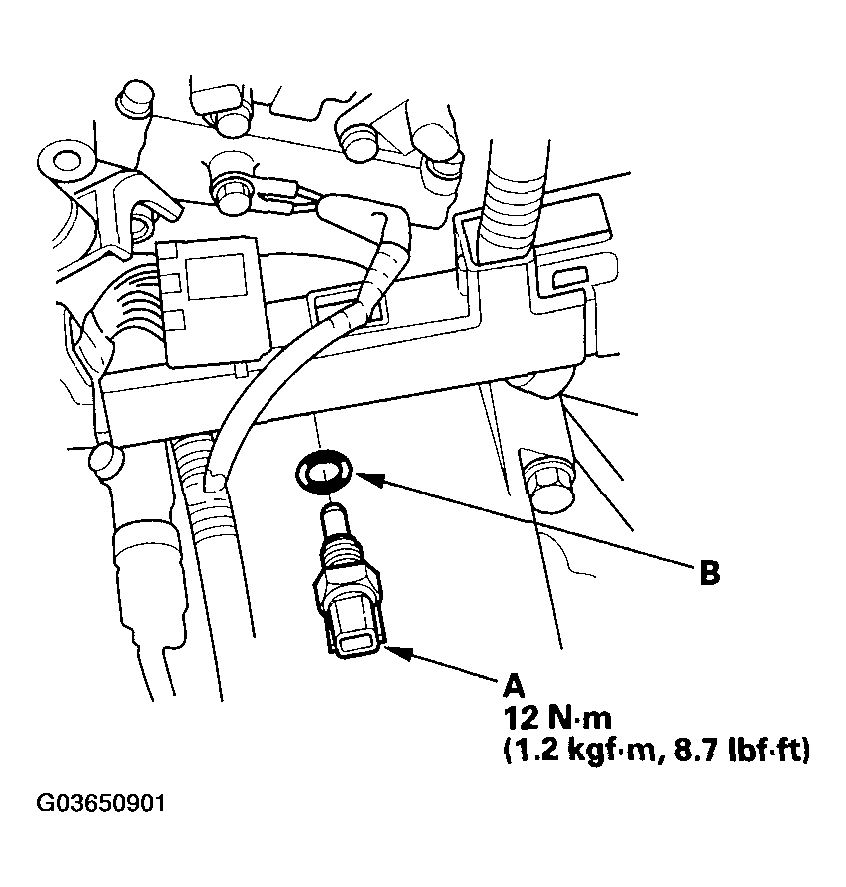 G03650901
