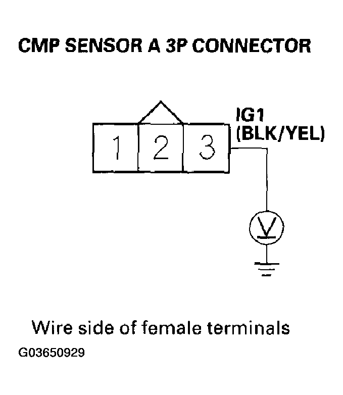 G03650929