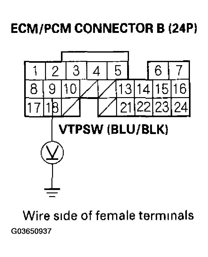 G03650937