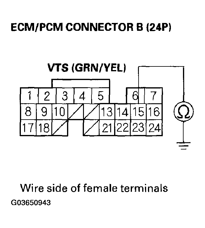 G03650943